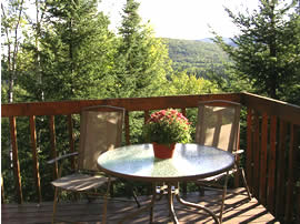 wonderful venue within the treetops to enjoy the view